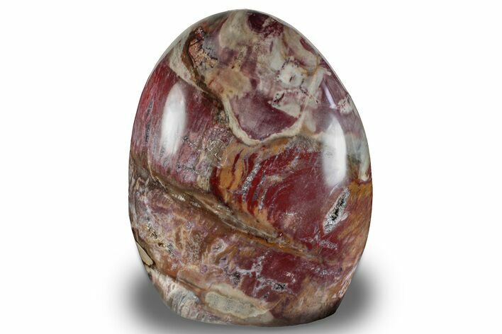 Free-Standing, Polished Petrified Wood - Madagascar #256722